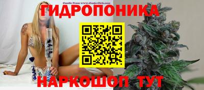 каннабис Пенза